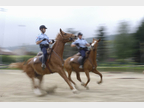 Cavaliers policiers arrêtant leurs chevaux